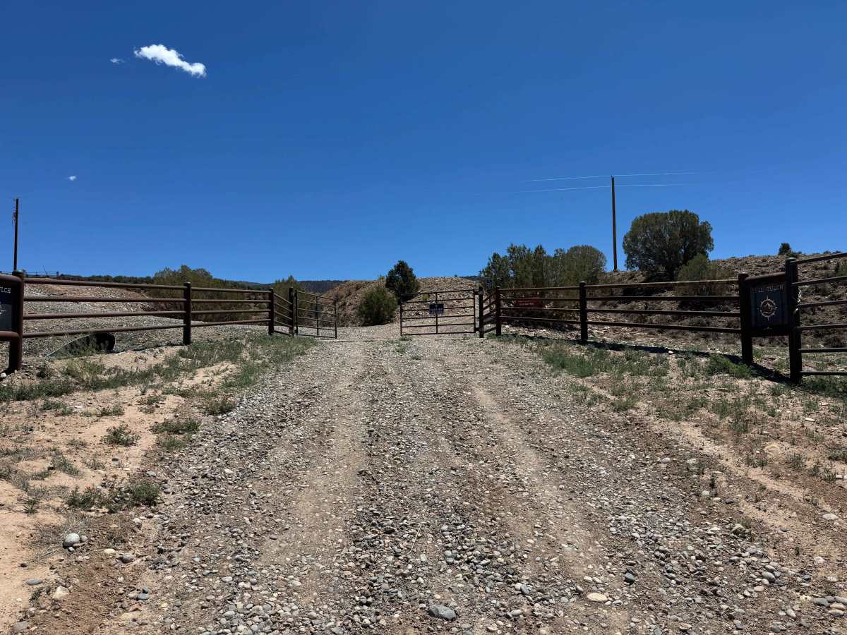 BLM 8479 photo 2