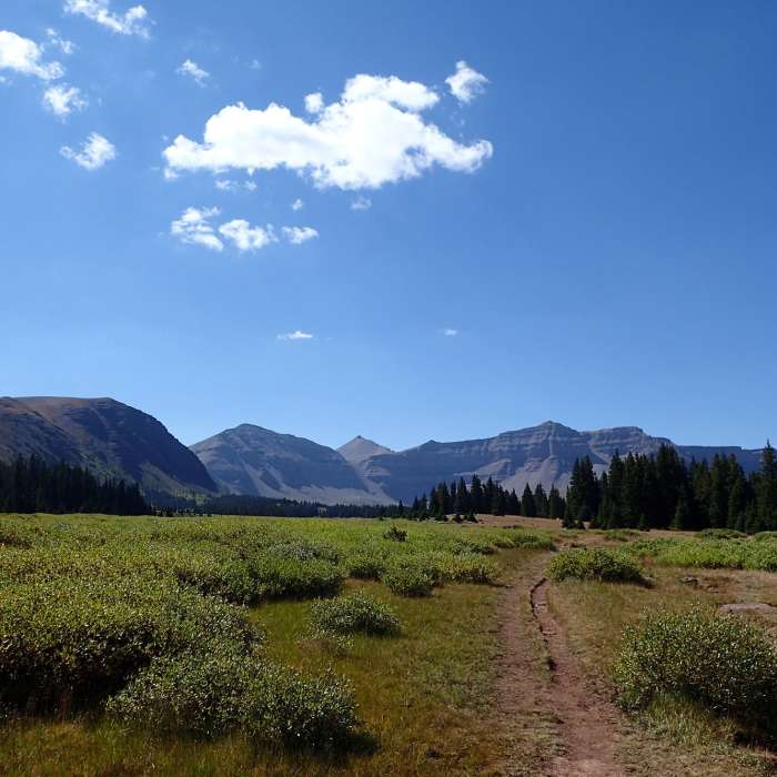 Near Henry's Fork Trail