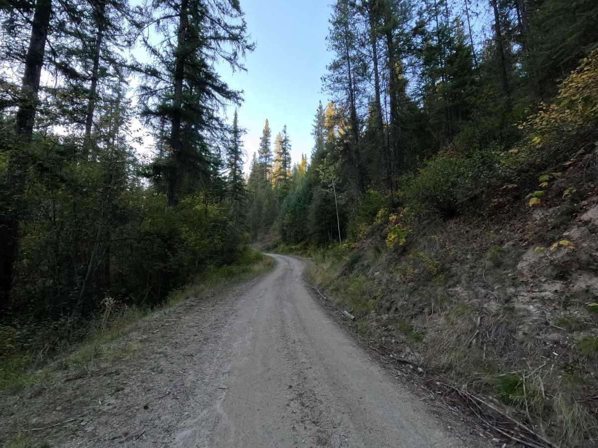 Drummond Creek - FS 9545 photo 2
