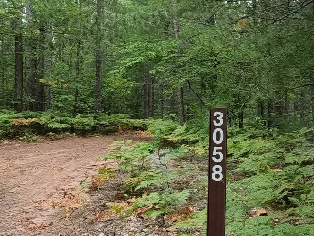 Paul - FS 3058 trail photo