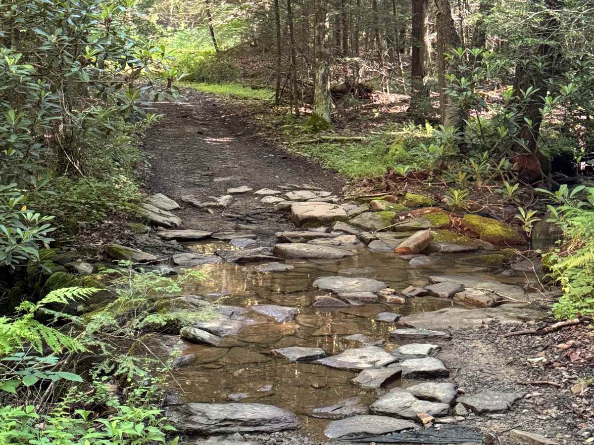 CCC Trail photo 3