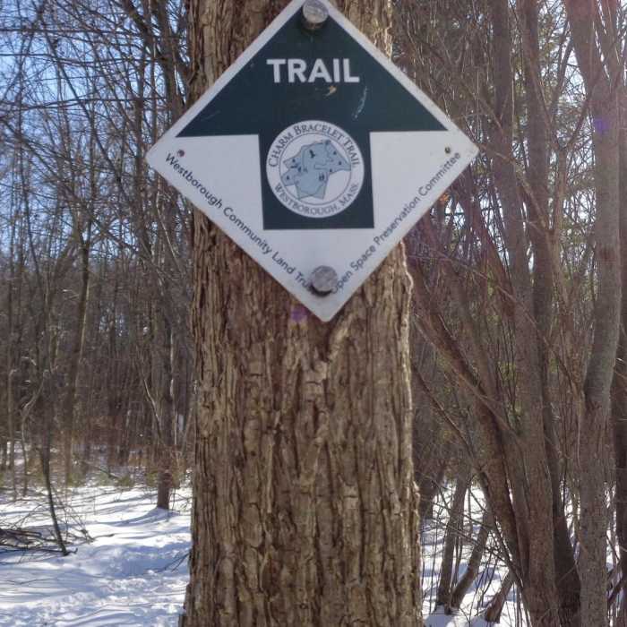 Near John F. Malley Trail Near John F. Malley Trail