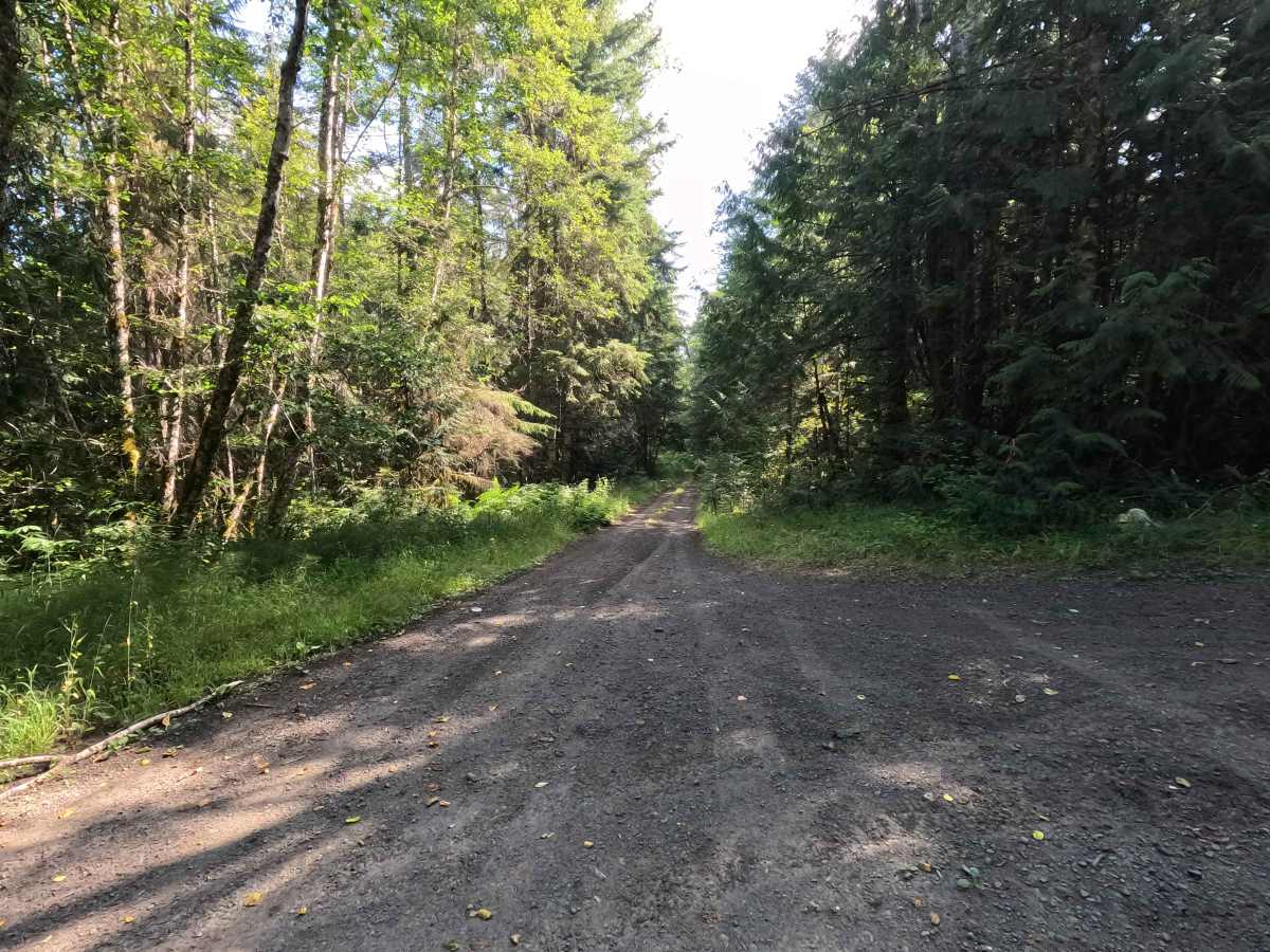 FS 2870030 trail photo
