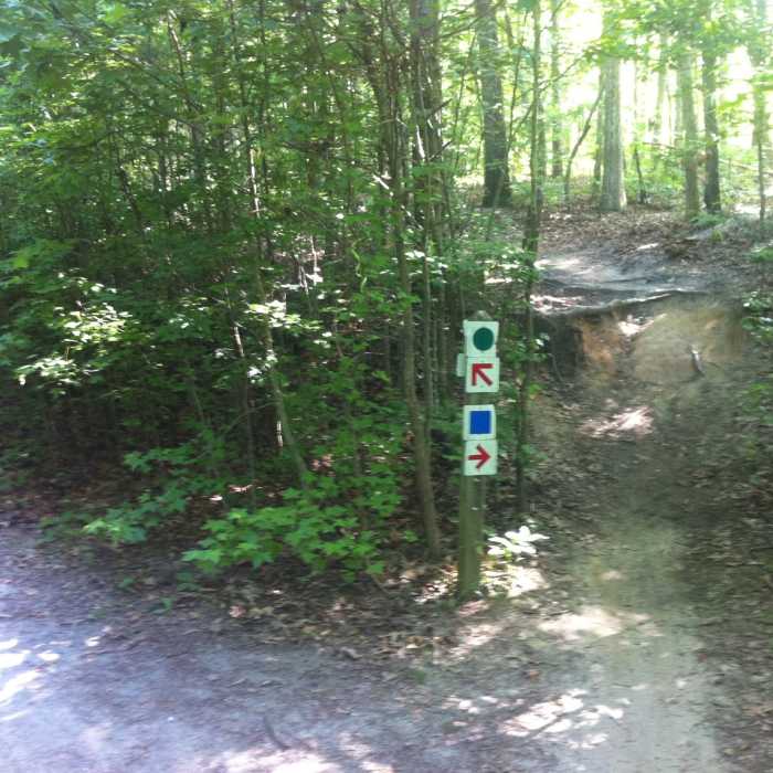 Trail signs denote branches of trail that are popular for mountain bikers. Keep an eye out for cyclists in these sections! Near Main Loop Trail