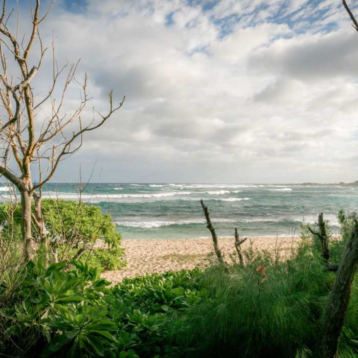 Near Kahuku Shoreline Near Kahuku Shoreline