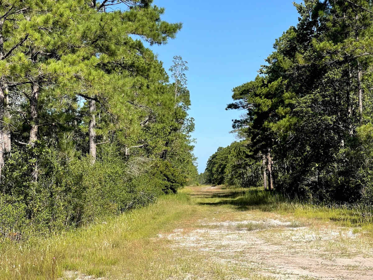 Craven Road trail photo