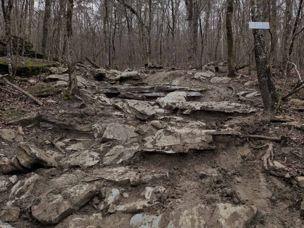 #129 Dollar Bills trail photo