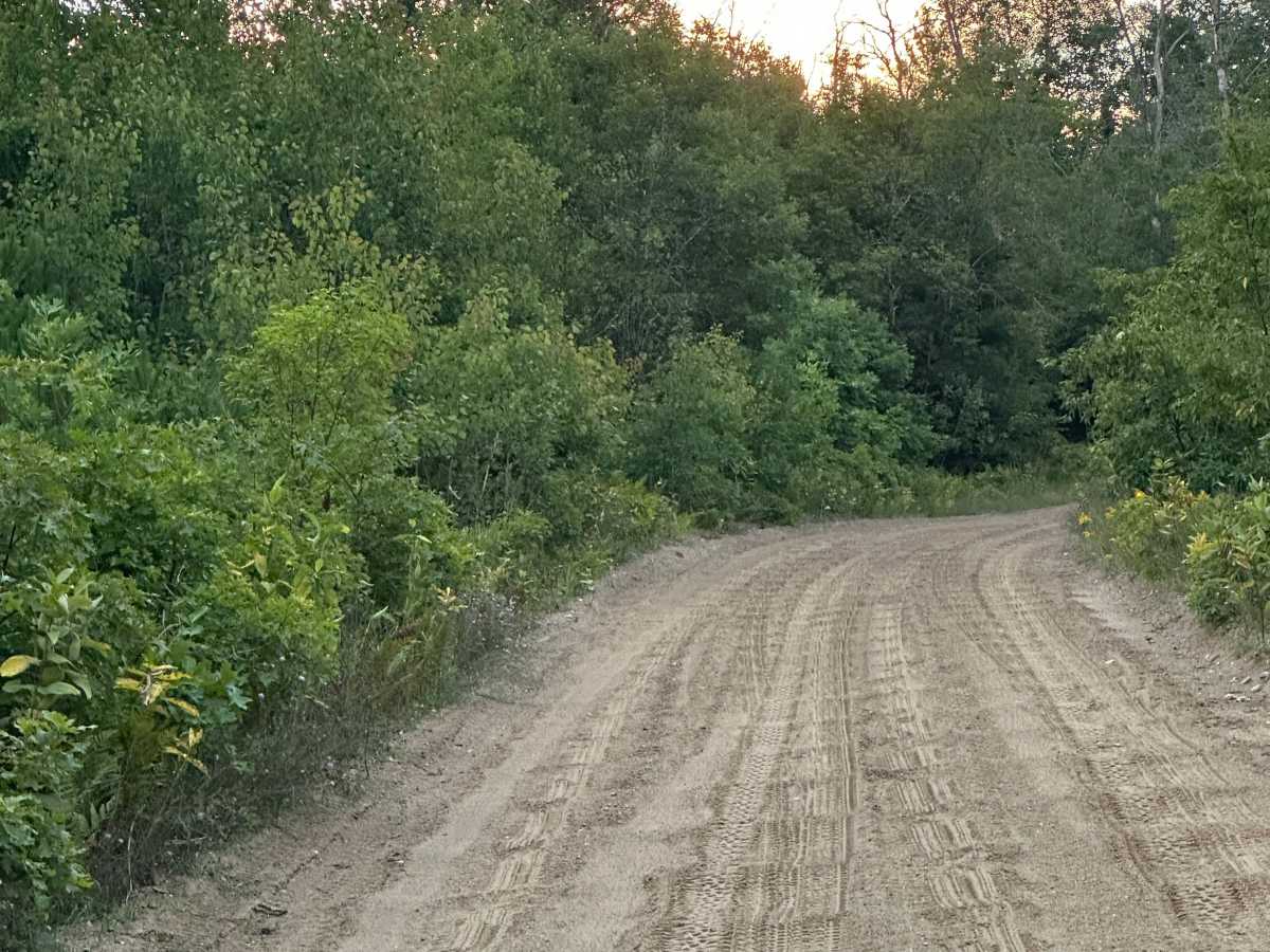 Barney Lake Road photo 4