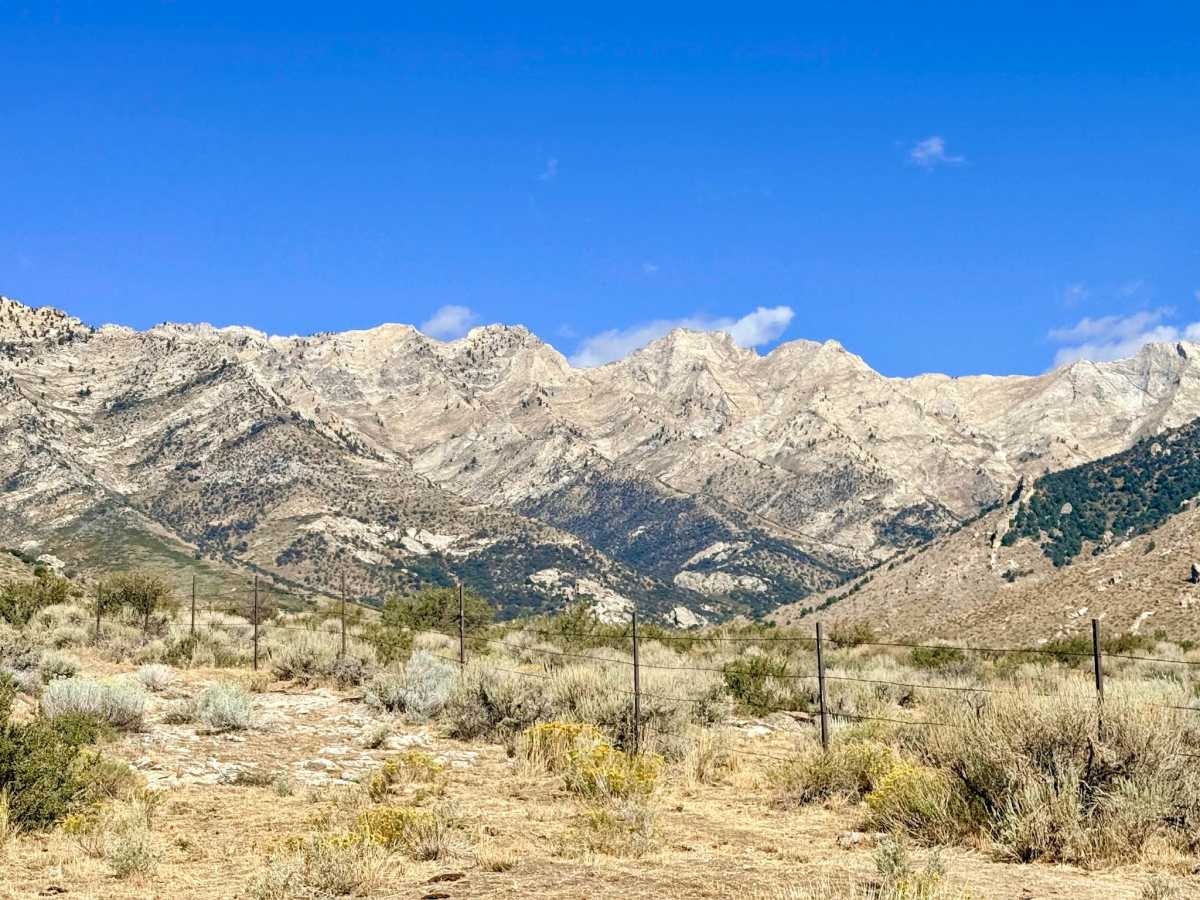 Lutts Creek - FS 57149 photo 2