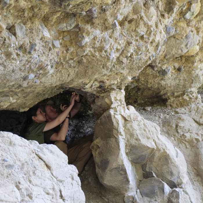 Near Gallatin Petrified Forest