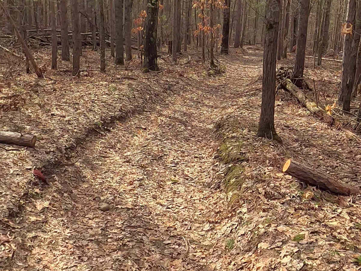 Bull Gap - ORV H57 photo 6