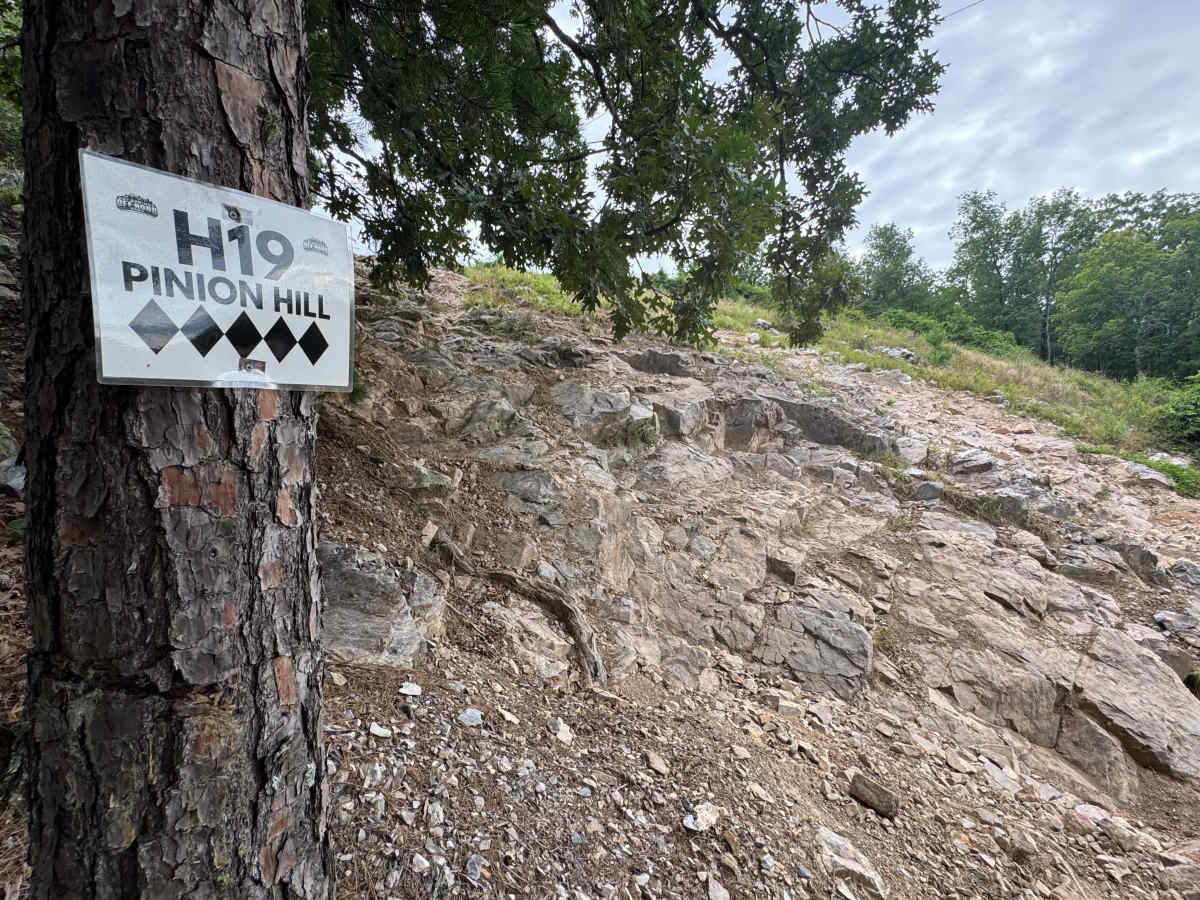 H19 Pinion Hill photo 3