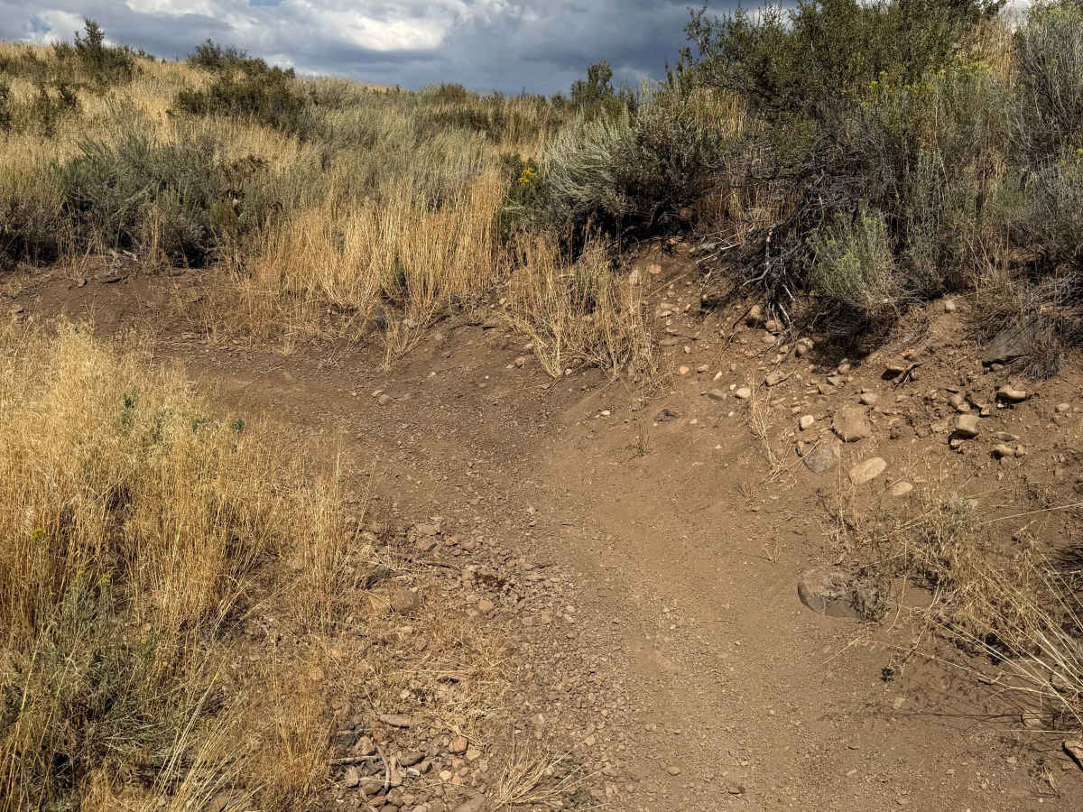 Ice House Trail photo 6