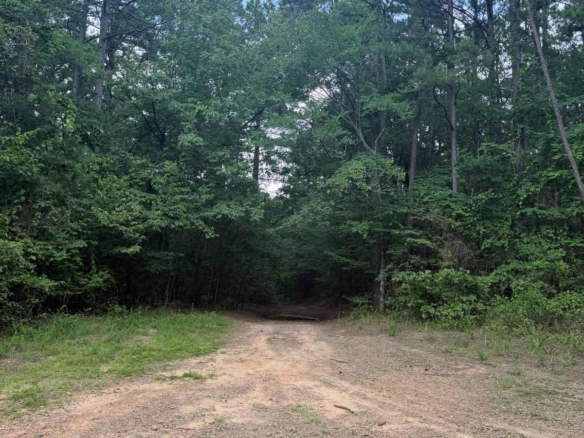 Petty Cord trail photo