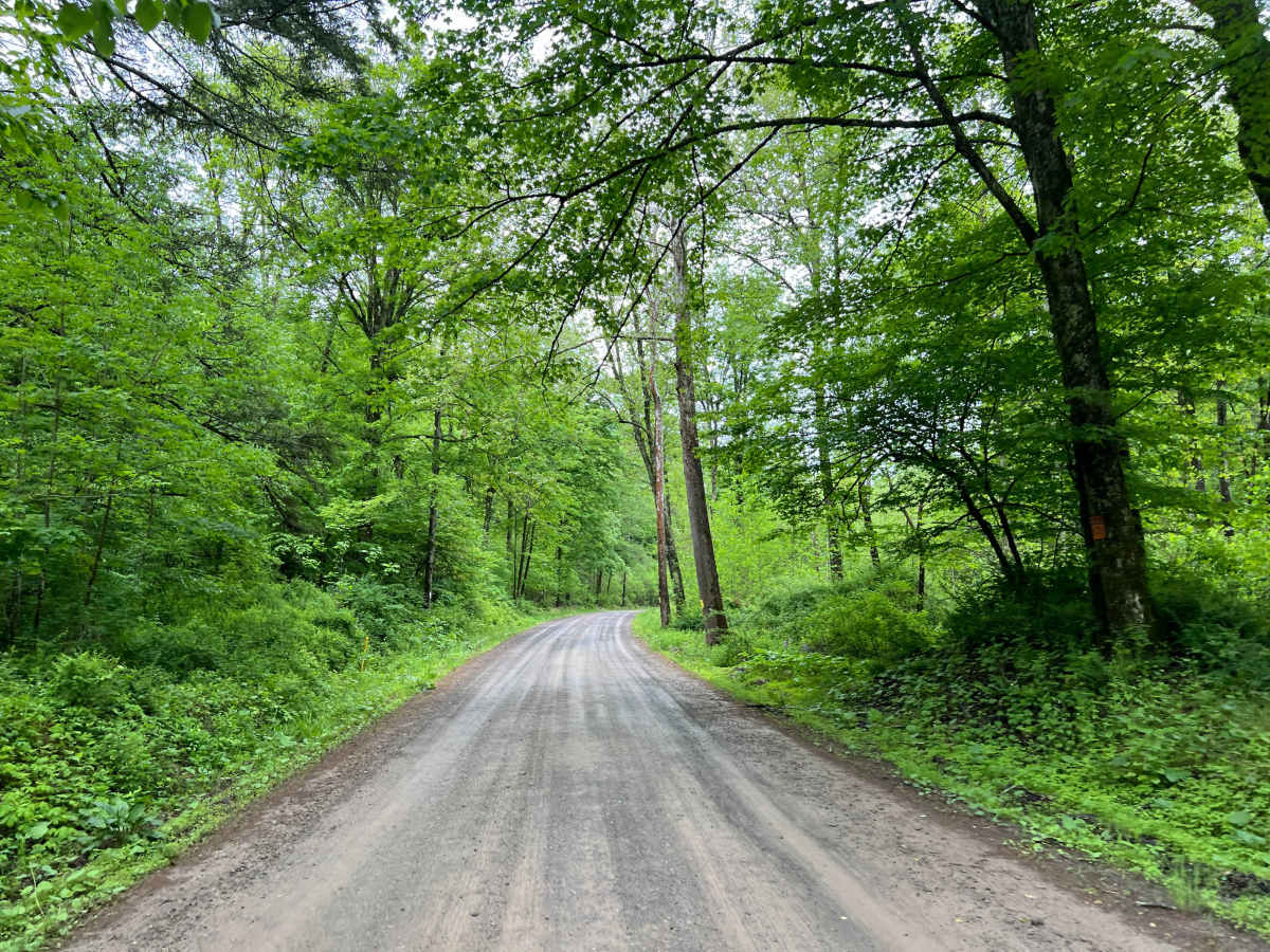 Ogdonia Road photo 2