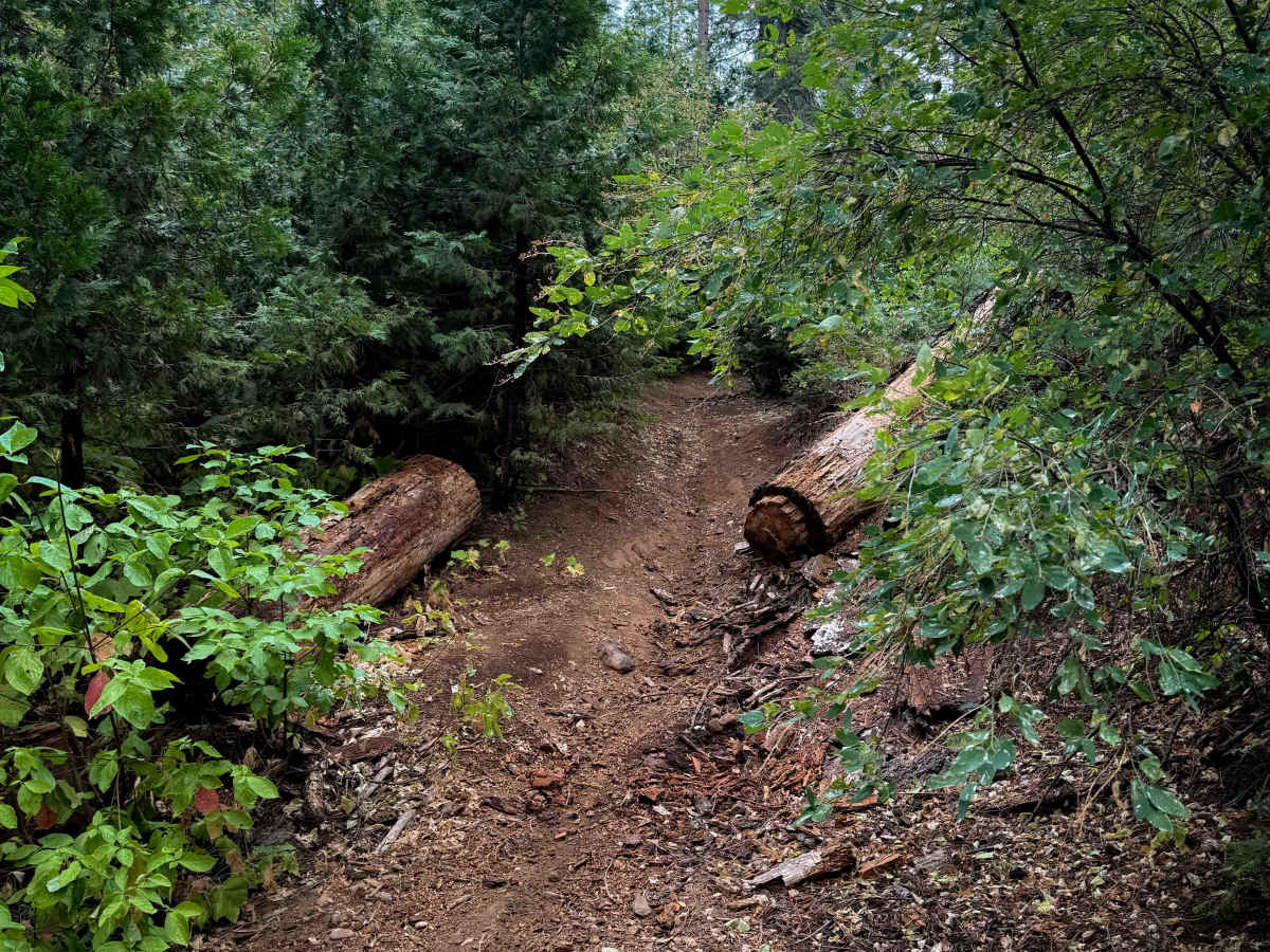 15EV64B trail photo