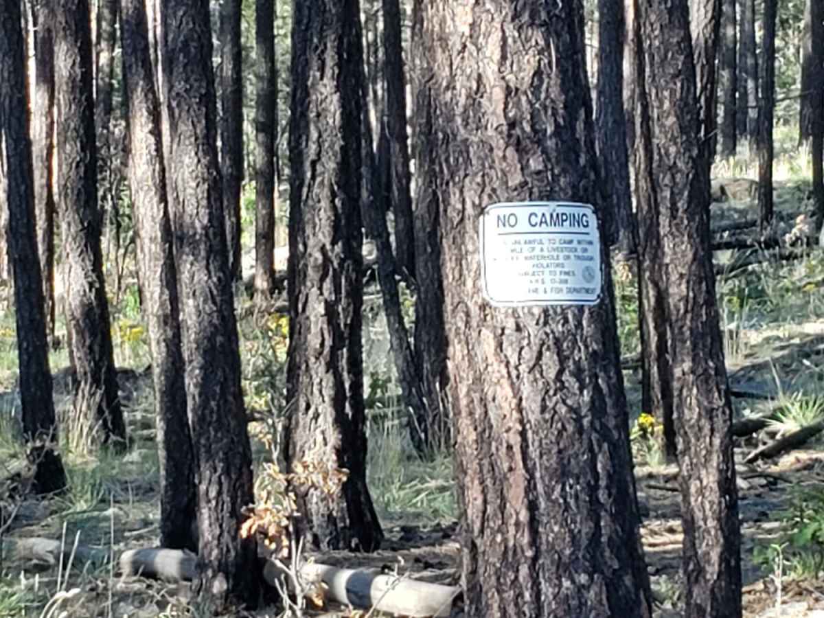 Kelsey Spring Trailhead photo 2