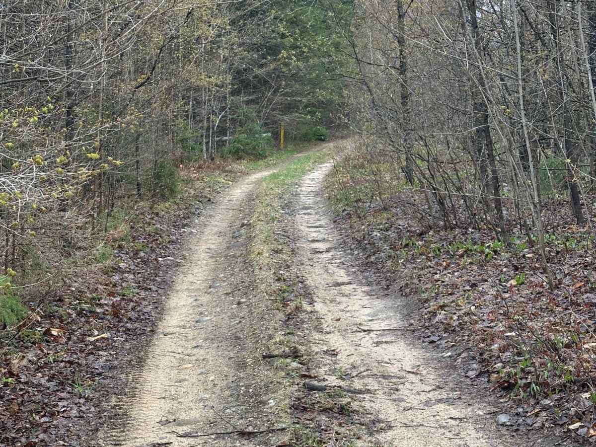 Deward Cutover trail photo