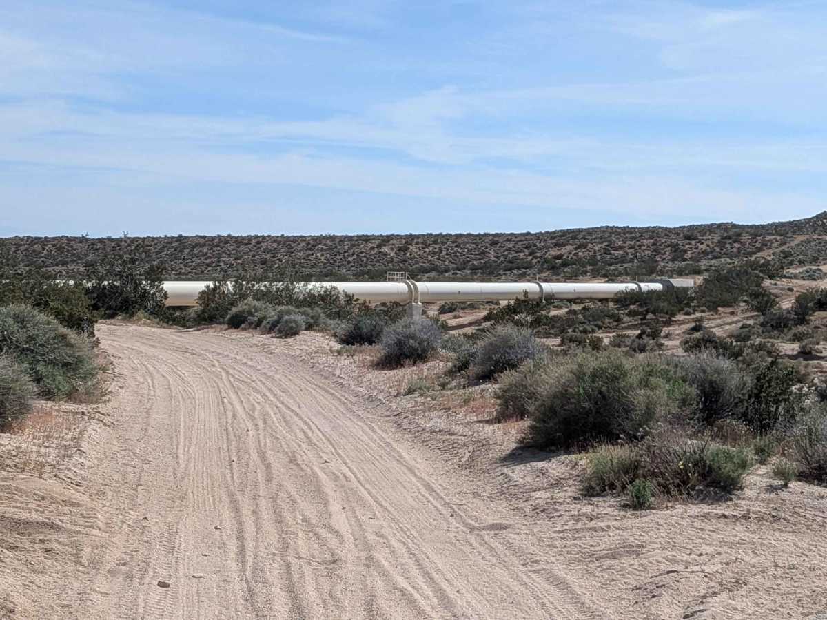 BLM SC94 photo 3