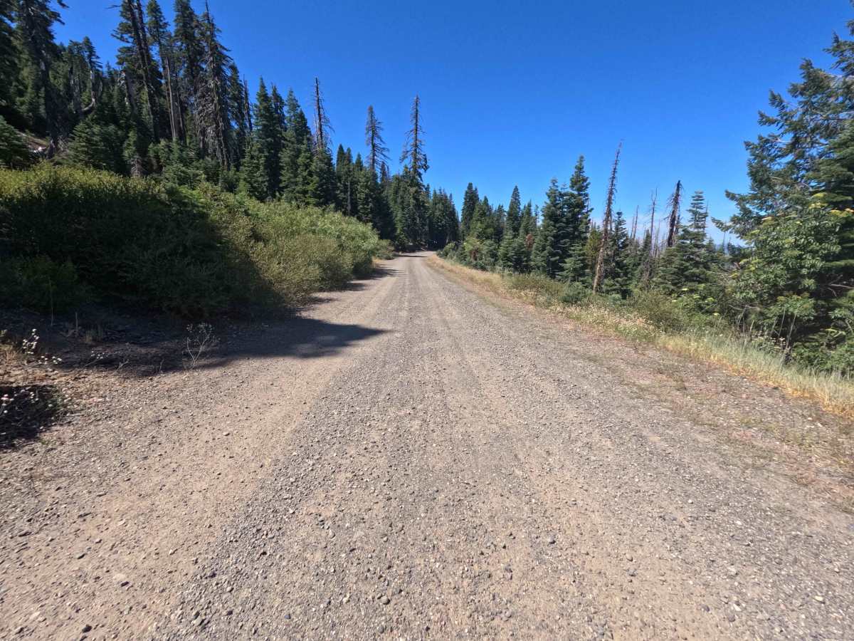 Espee Ridge - FS 23N39 photo 5