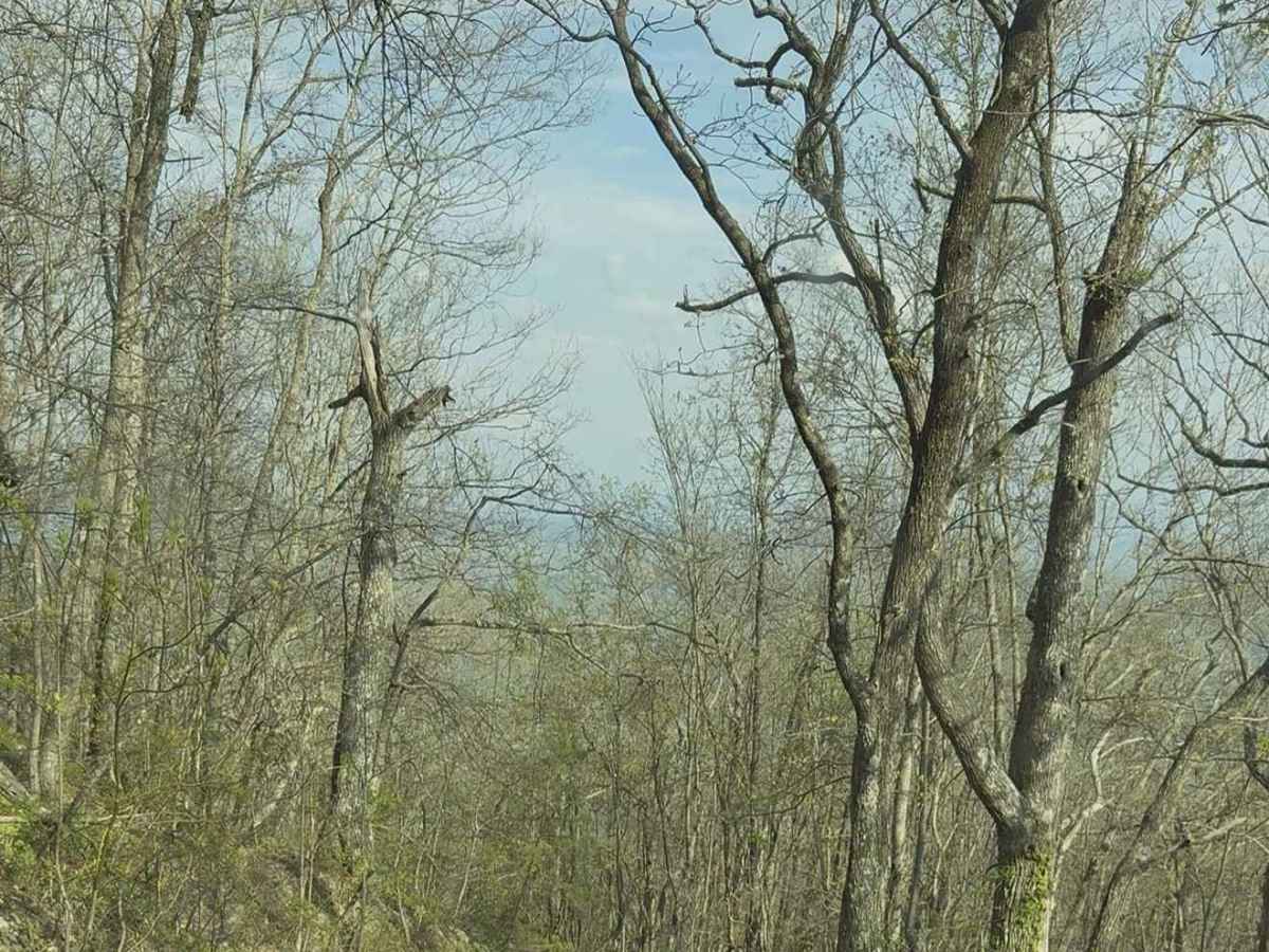 Fire Tower Scramble  photo 5