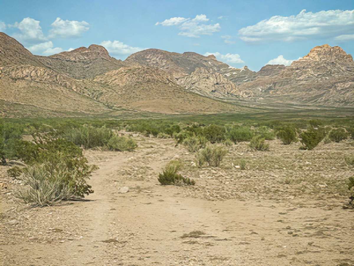 SS1160 photo 5