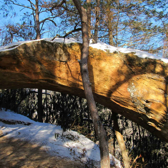 Indian Arch poses for a dramatic photo along the Sheltowee Trace. Near Sheltowee - Osborne Loop