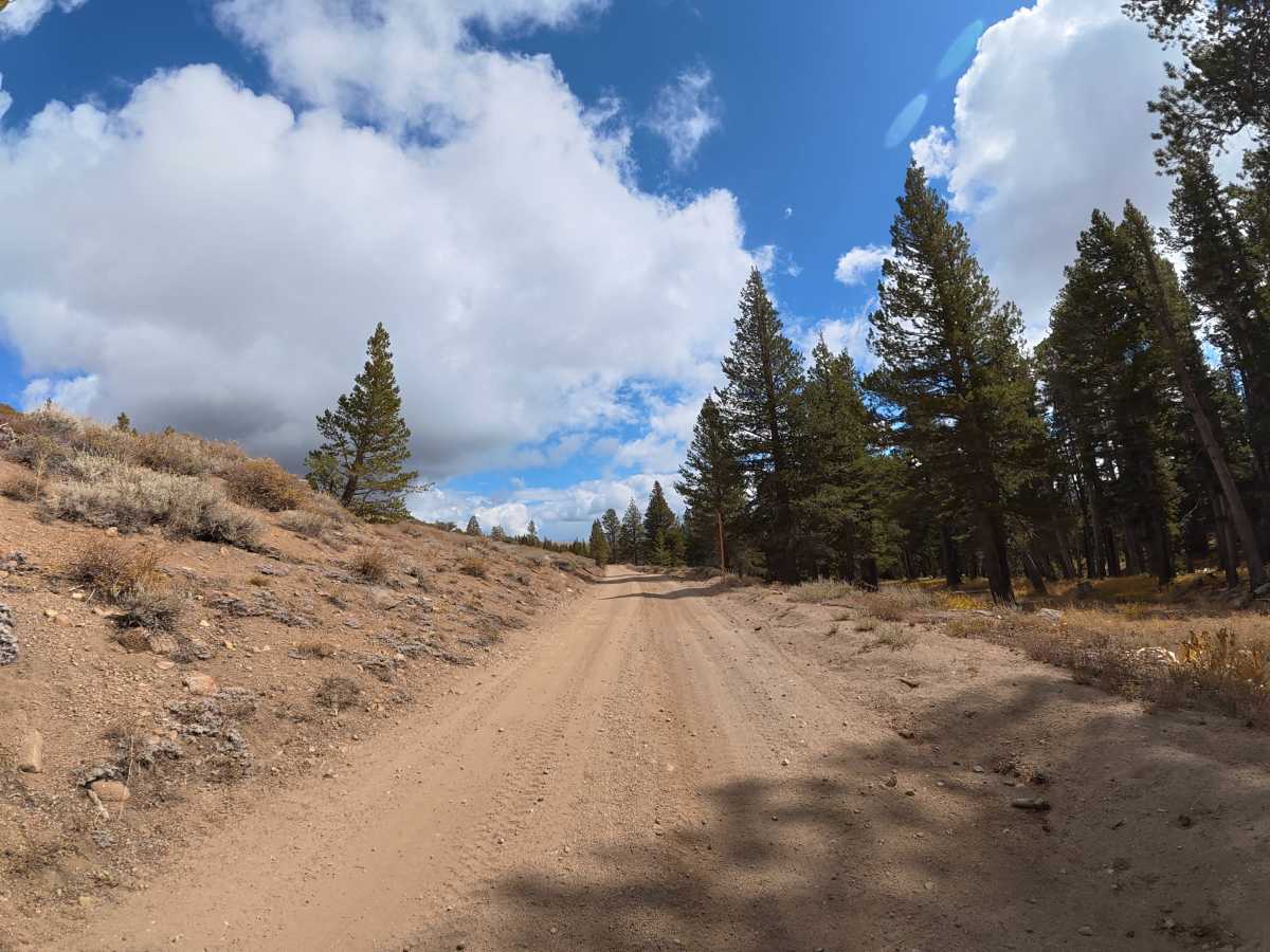 Wolf Creek photo 6