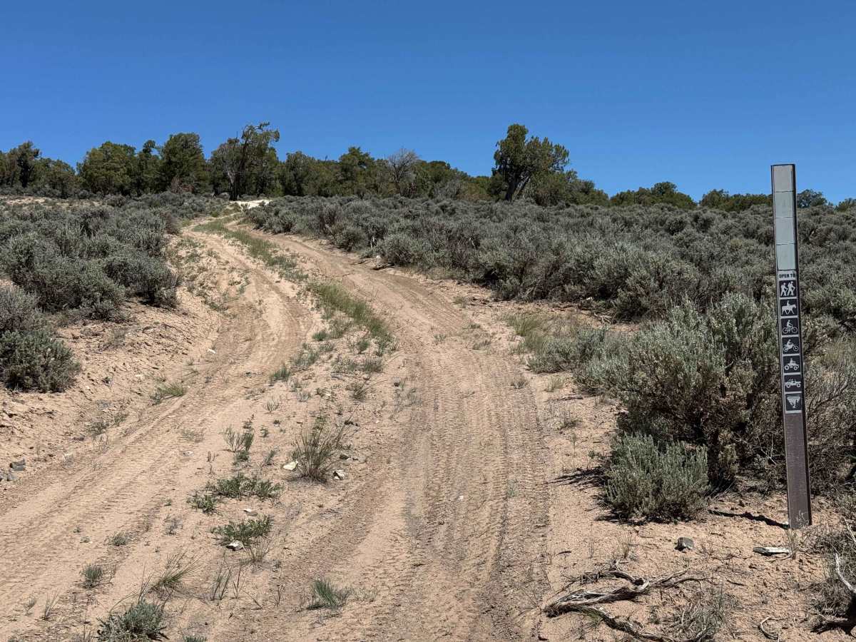 BLM 8474 photo 4
