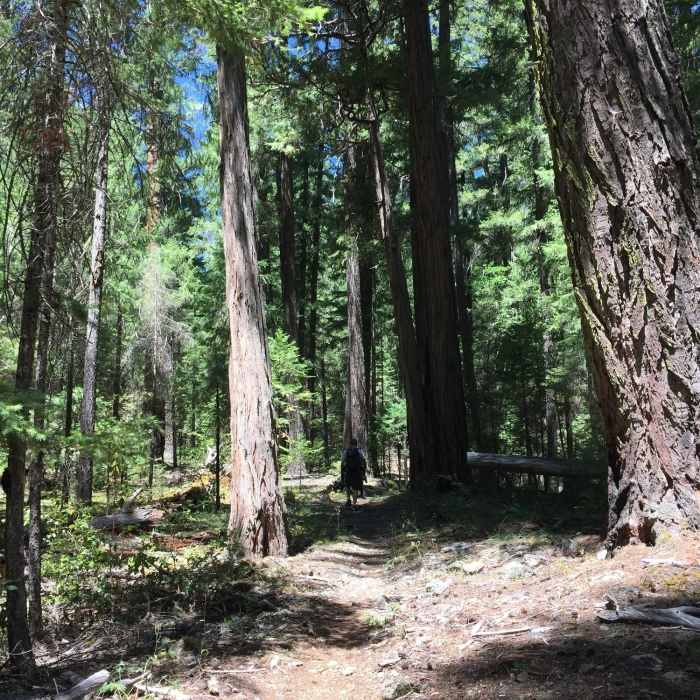 Near North Fork Trail
