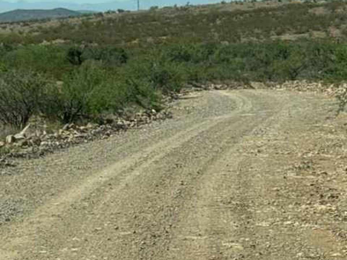 BLM SS1041 photo 6