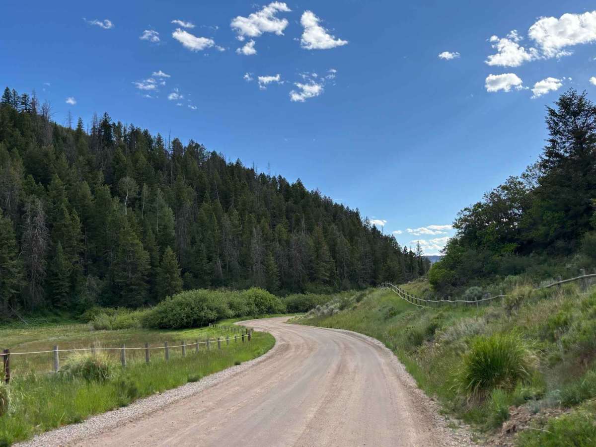 Piceance Creek Road photo 6