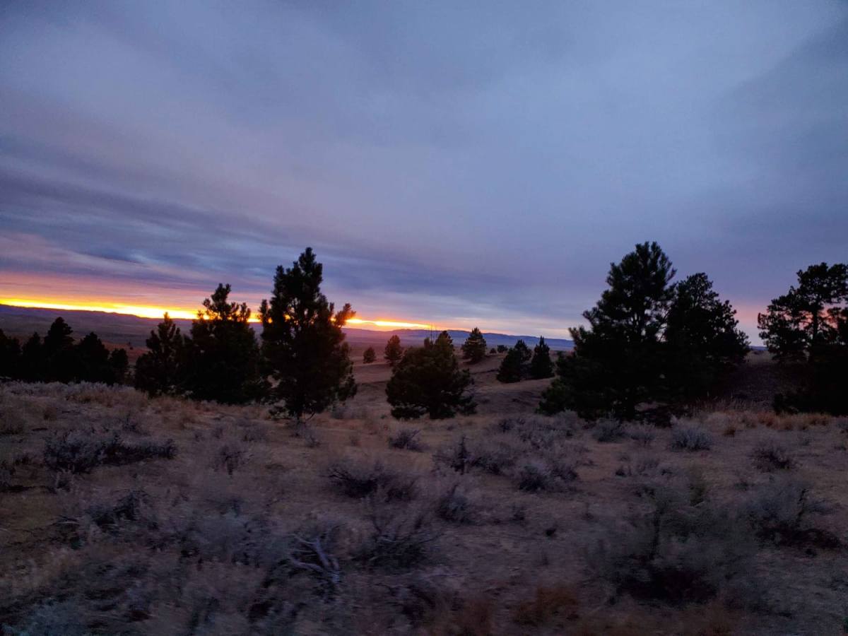 DJ 220 trail photo