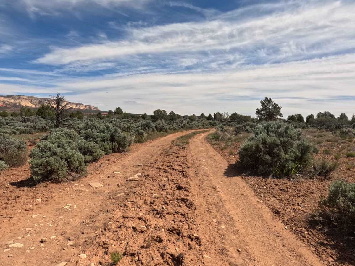 BLM 74  photo 6