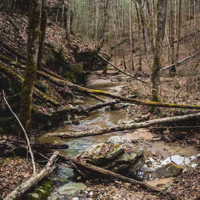 Near Whittleton Arch via Whittleton Branch Trail Near Whittleton Arch via Whittleton Branch Trail