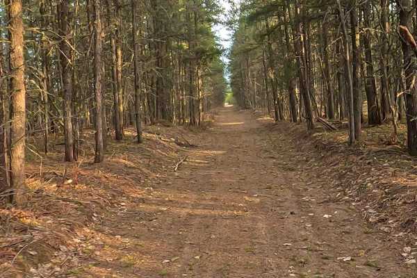 N Sheldrake River Road