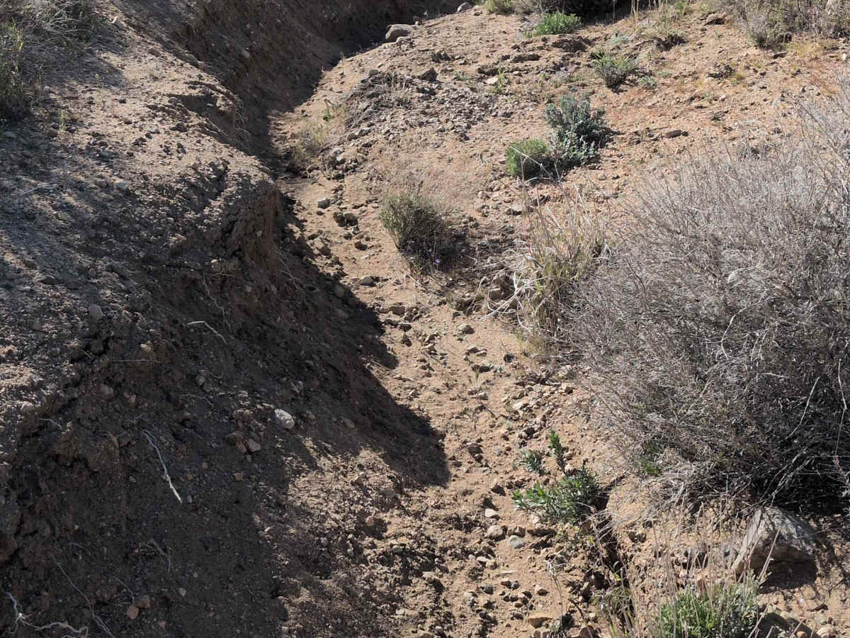 BLM 37E402 photo 3