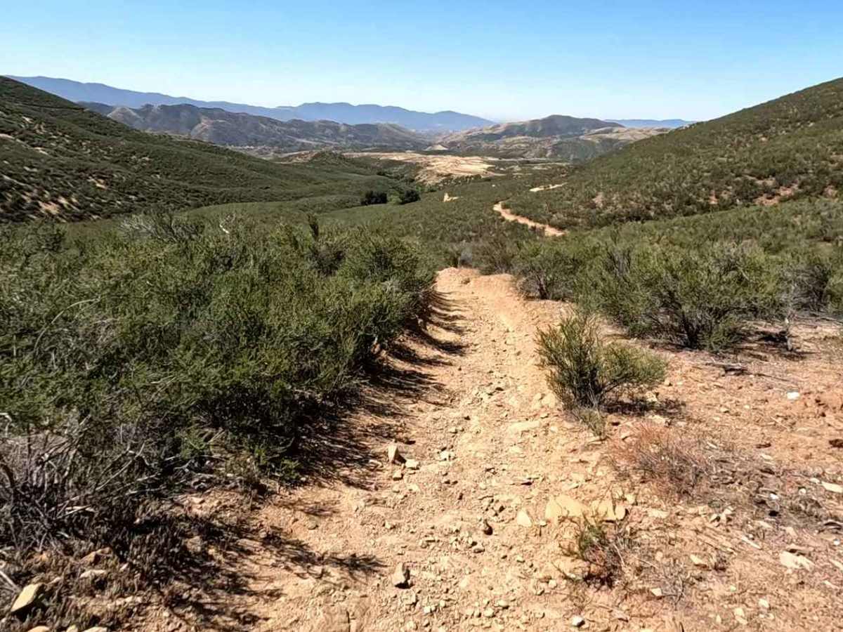 Knob OHV Trail photo 4