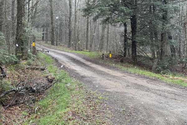 Rock Run A - FS 117A