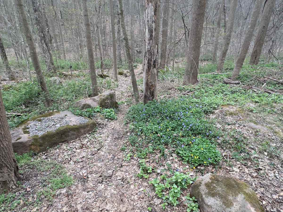 Middle Creek Adventure Tour photo 5