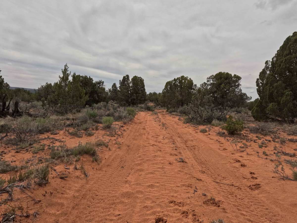 BLM 61E photo 6