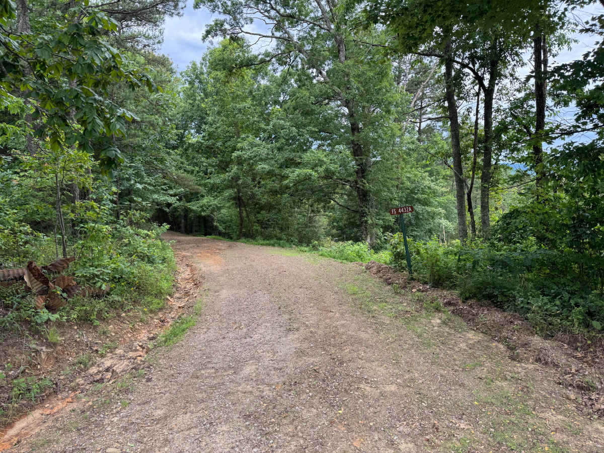 Bull River trail photo