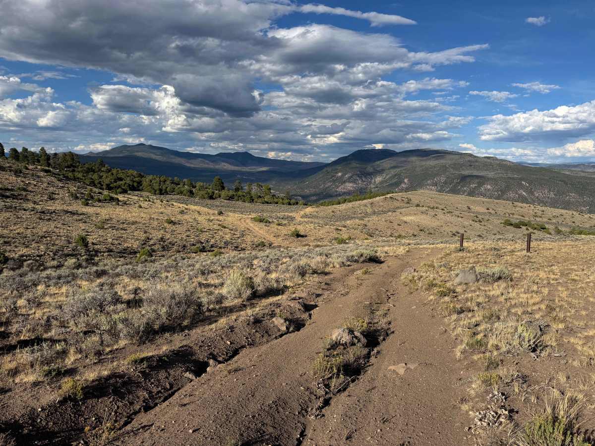 BLM 8536 photo 4