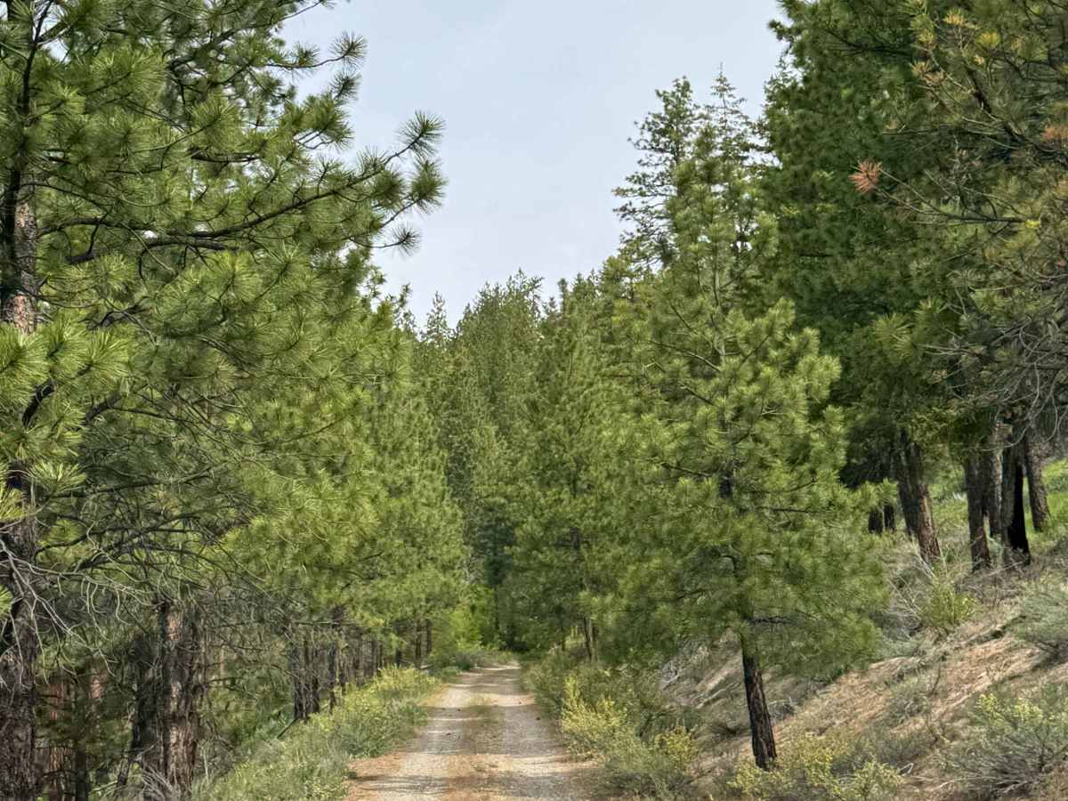 Washington Butte Trail photo 4