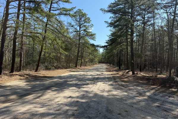 Mount Misery and Pasadena Road