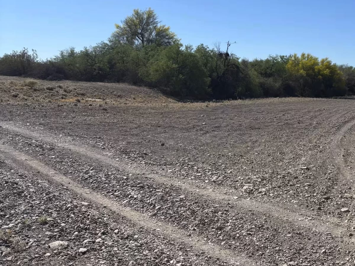 Tyson Wash trail photo