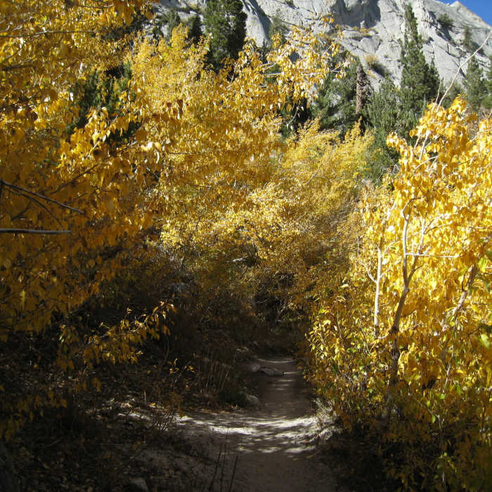 Near Lone Pine Lake via Mount  Whitney Trail