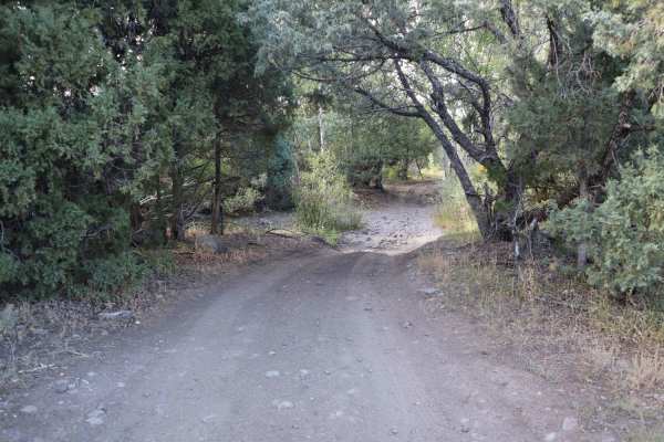 Schrader Creek
