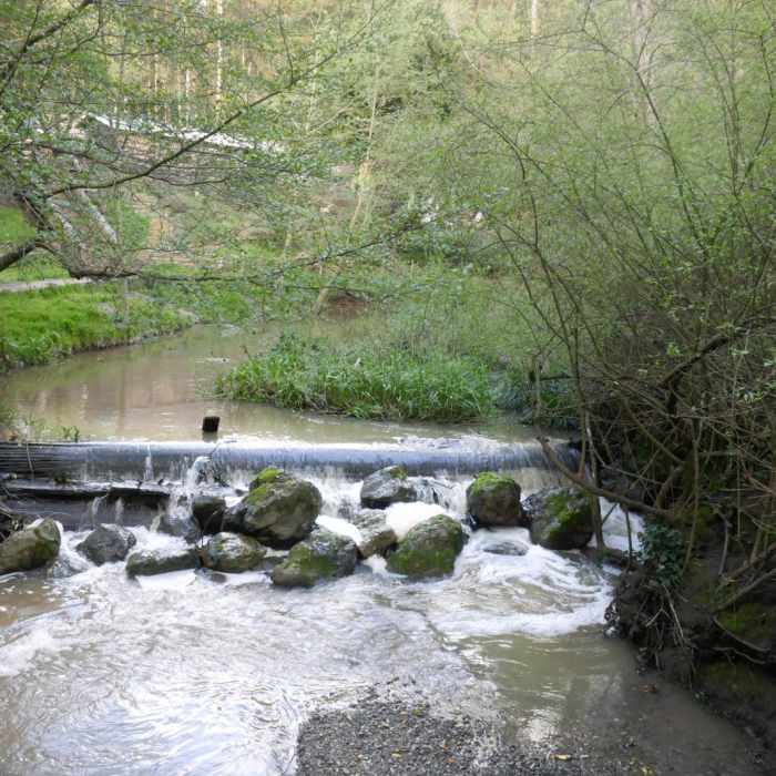 Near Jewel Lake Loop