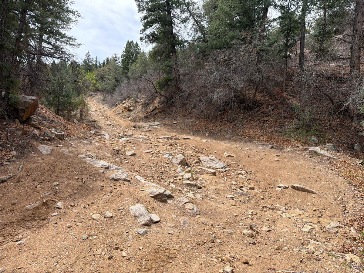BLM 6195A photo 5